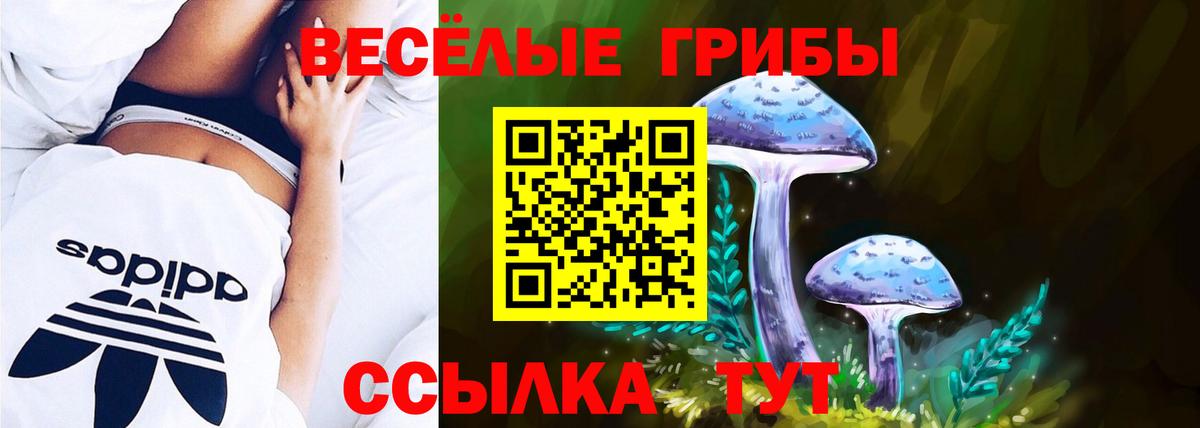 Псилоцибиновые грибы прущие грибы  Галлюциногенные грибы MAGIC MUSHROOMS  Россошь  Вход с VPN 